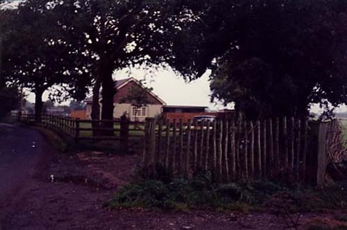 Driveway 1985